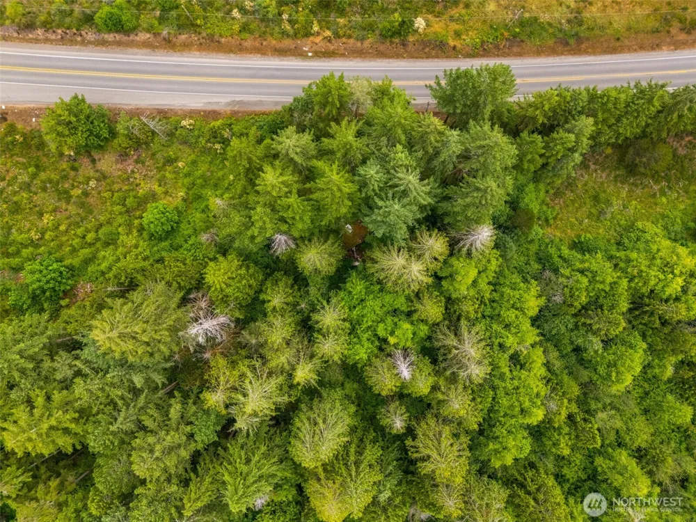 123 US Highway 101 Shelton, WA 98584