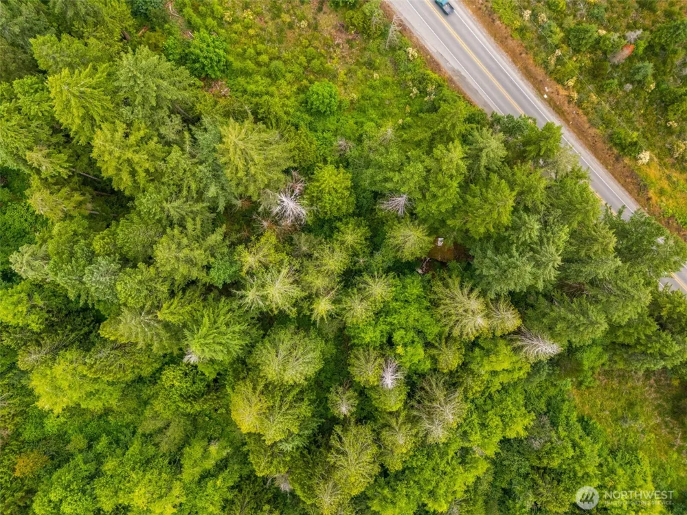 123 US Highway 101 Shelton, WA 98584