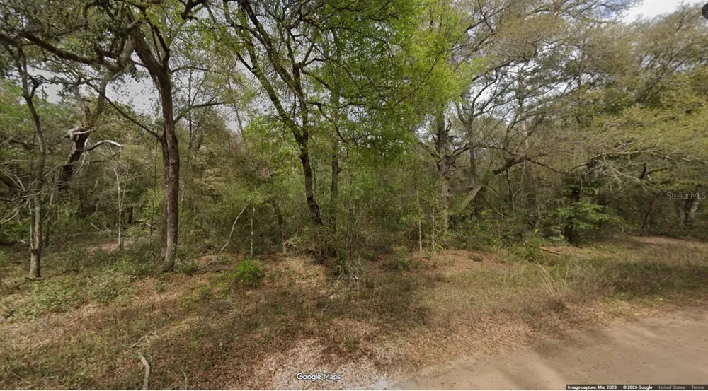 Lot 8, Unit 7, Blk 42 BUCKLES AVENUE Interlachen, FL 32148