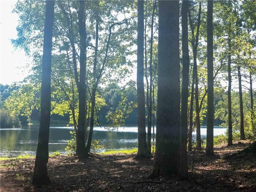37 Farmstead Way Senoia, GA 30276