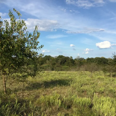 1821 State Highway 309