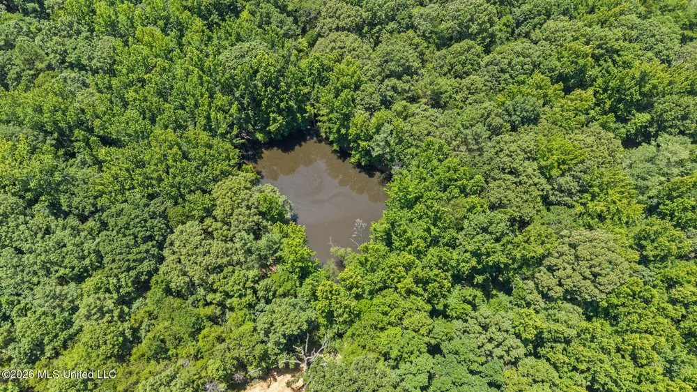 70 Wall Hill Farms Byhalia, MS 38611