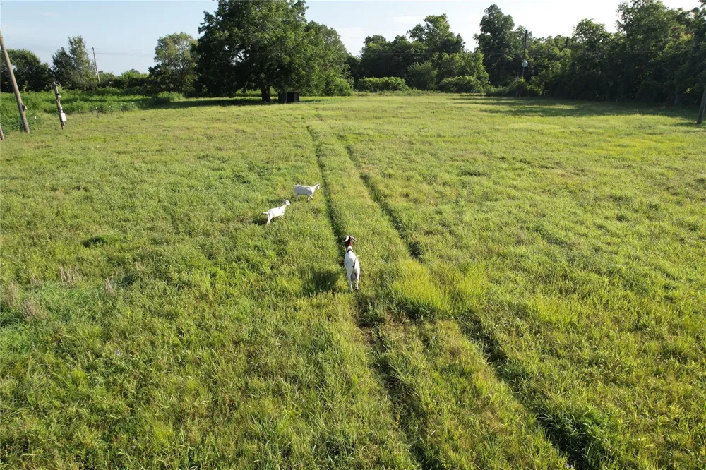 36600 Cheyenne Road Simonton, TX 77485