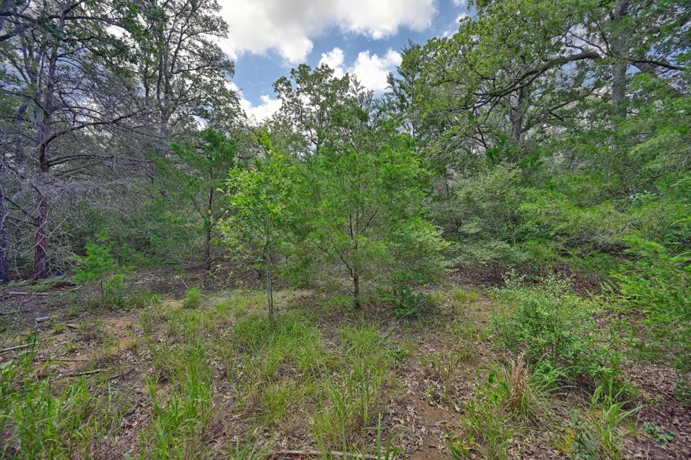 318 Eagle Trail Caldwell, TX 77836