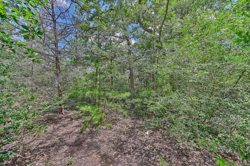 318 Eagle Trail Caldwell, TX 77836