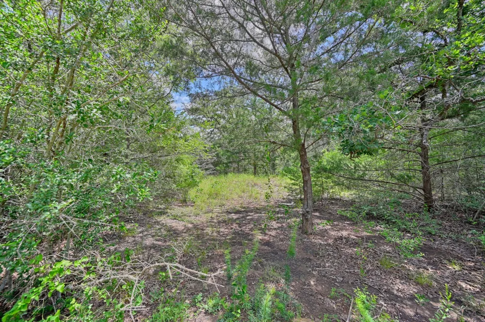 318 Eagle Trail Caldwell, TX 77836