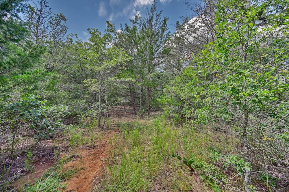 318 Eagle Trail Caldwell, TX 77836