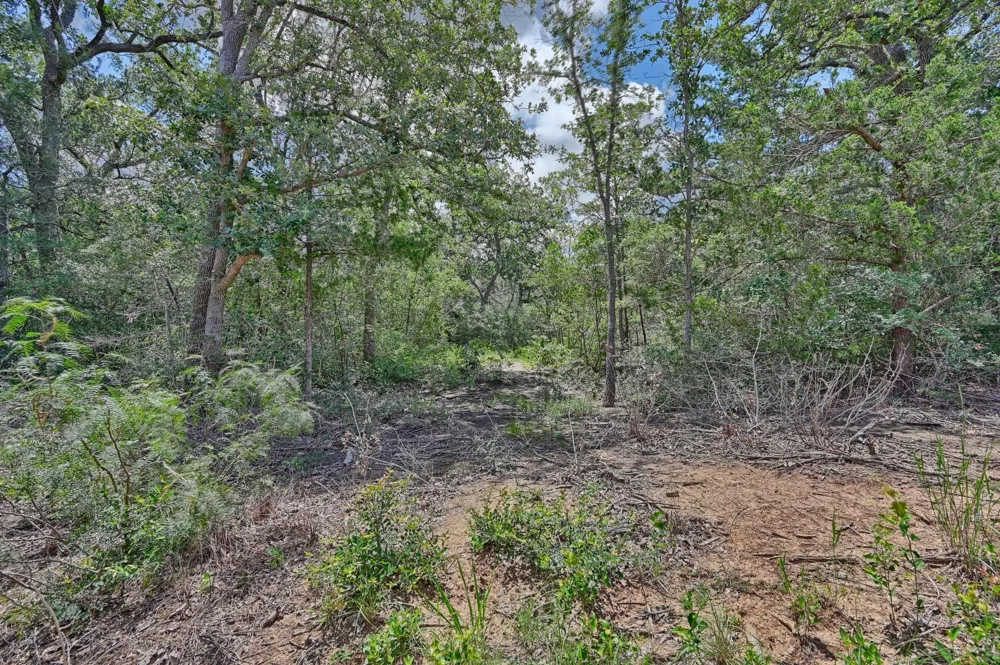 318 Eagle Trail Caldwell, TX 77836