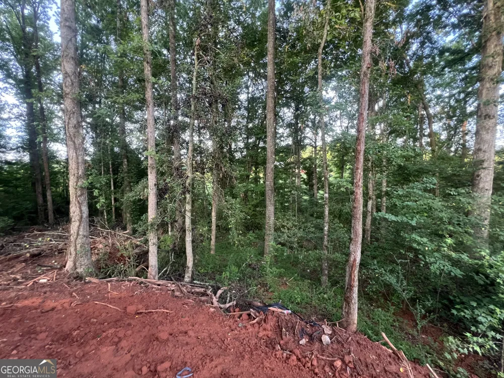 296 Stonington DR Mount Airy, GA 30563