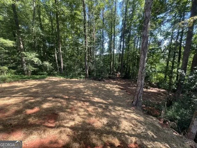 296 Stonington DR Mount Airy, GA 30563