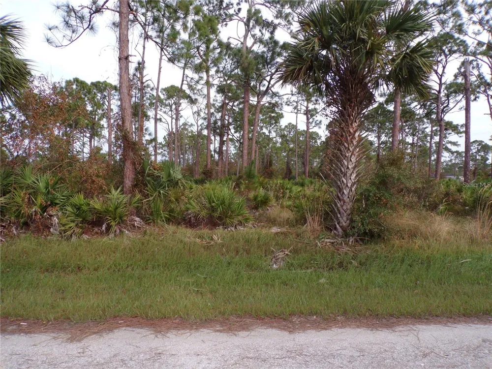13338 WEDGEWOOD DRIVE Punta Gorda, FL 33955