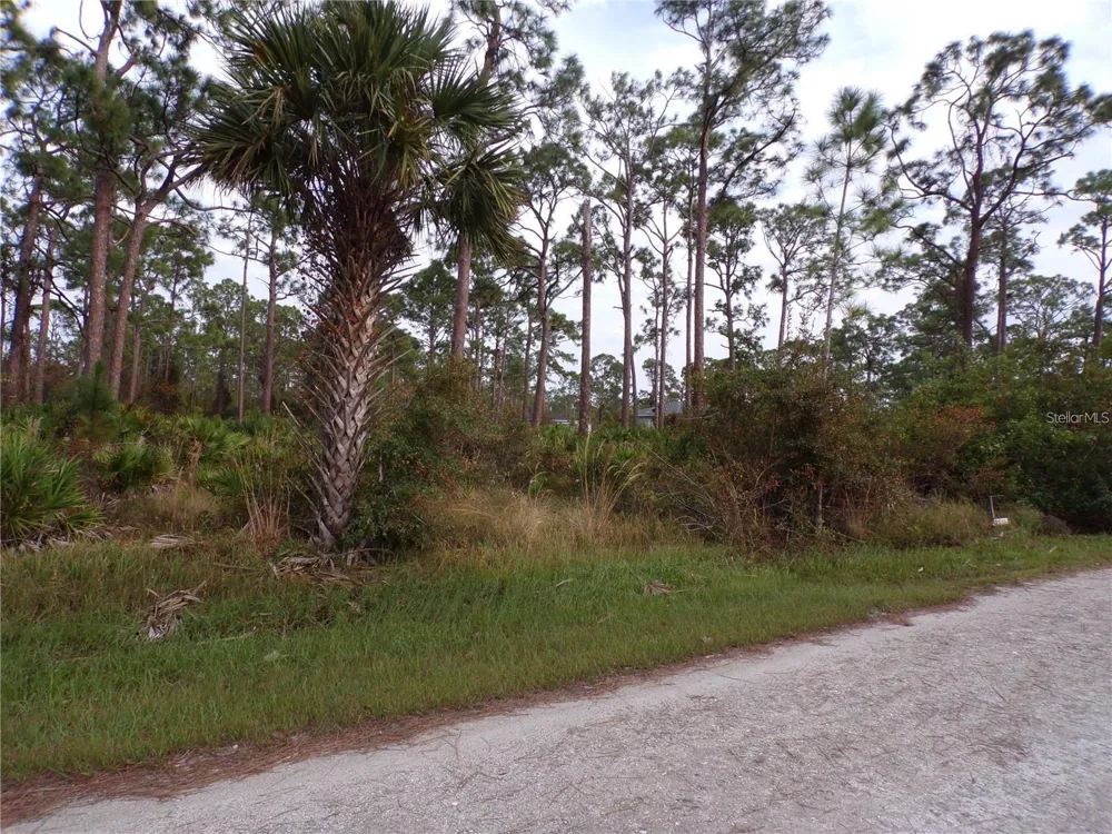 13338 WEDGEWOOD DRIVE Punta Gorda, FL 33955
