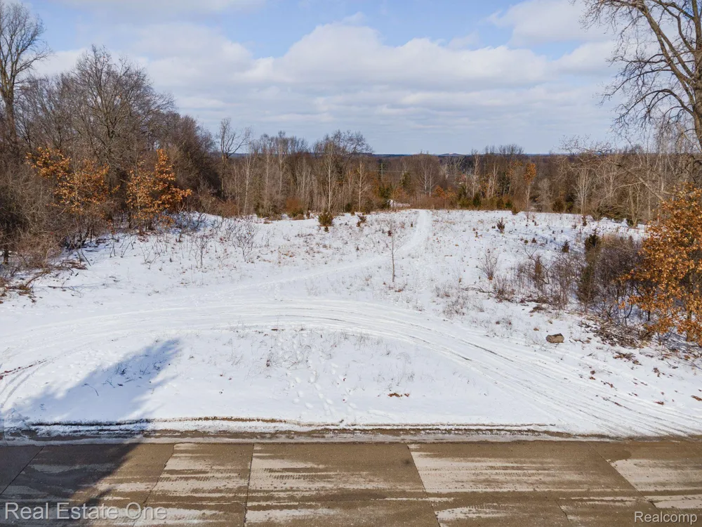 Williams Lake Rd. White Lake Charter Township, MI 48386