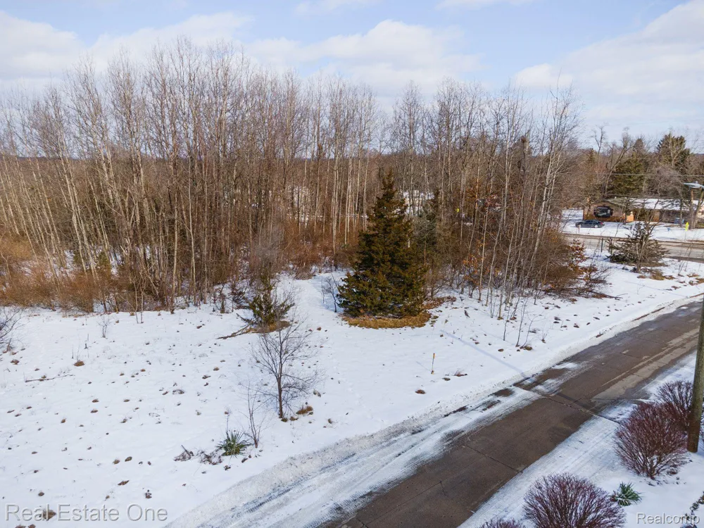 Williams Lake Rd. White Lake Charter Township, MI 48386