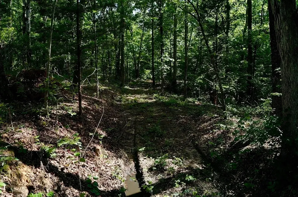 0 Jeanette Holladay Rd Parsons, TN 38363