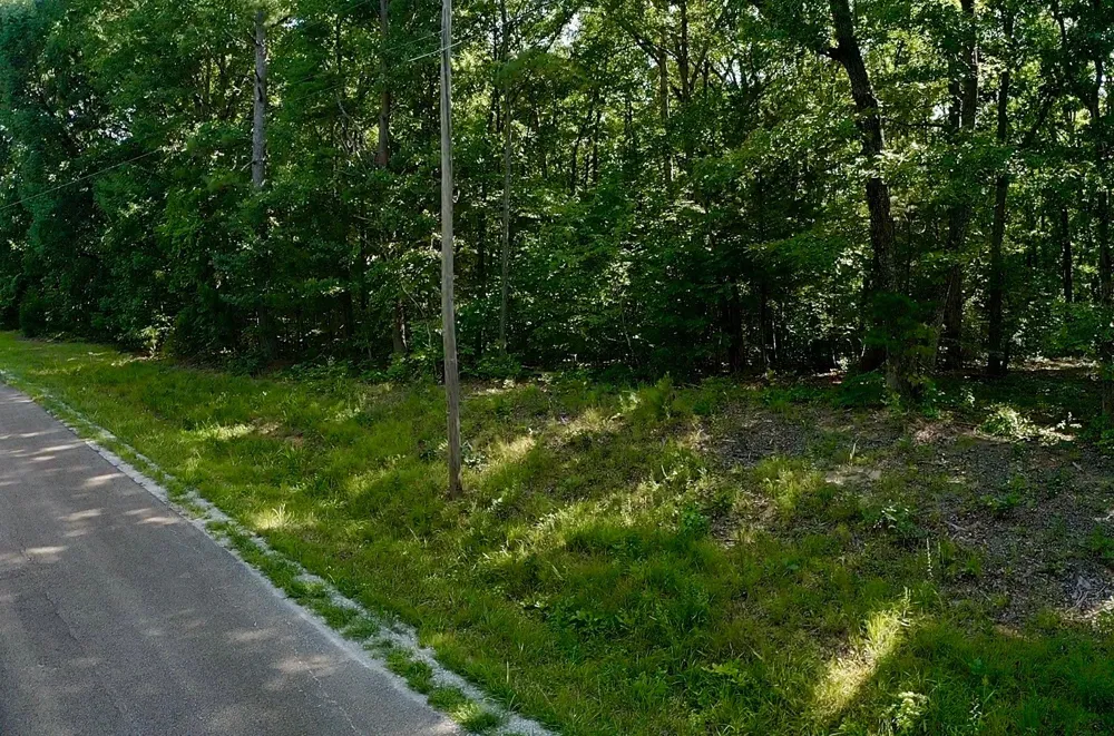 0 Jeanette Holladay Rd Parsons, TN 38363