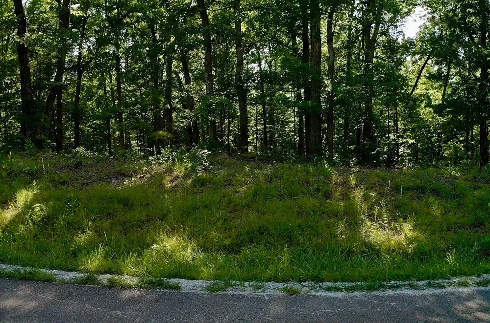 0 Jeanette Holladay Rd Parsons, TN 38363