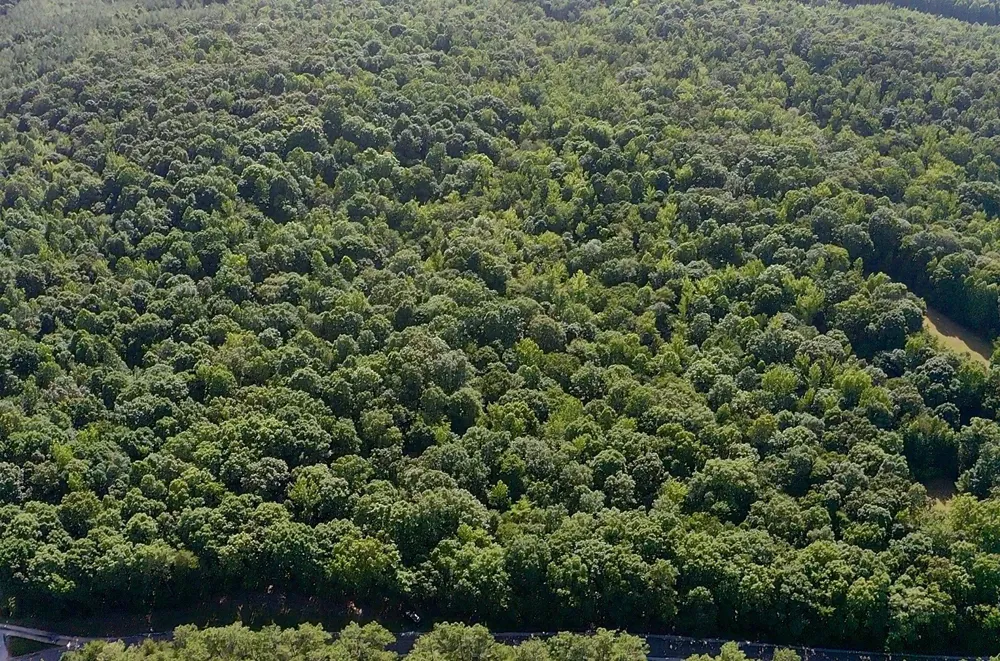 0 Jeanette Holladay Rd Parsons, TN 38363
