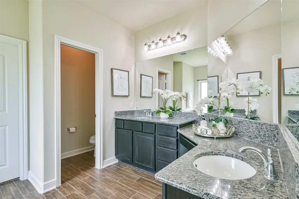 12617 White Cove Drive Texas City, TX 77568