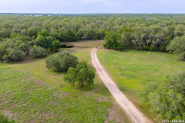3350 FM 1104 Kingsbury, TX 78638