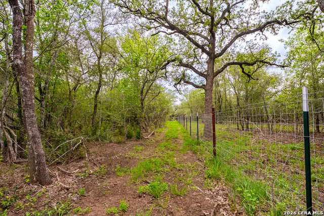 3350 FM 1104 Kingsbury, TX 78638