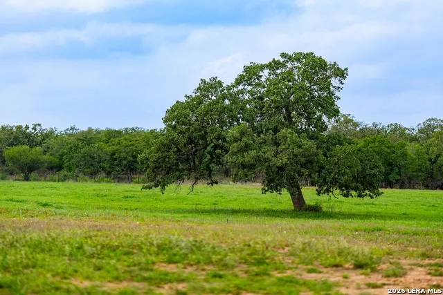 3350 FM 1104 Kingsbury, TX 78638