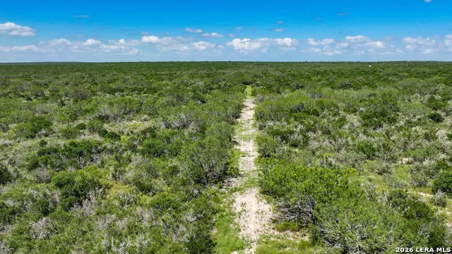 001 CR 624 Tilden, TX 78072