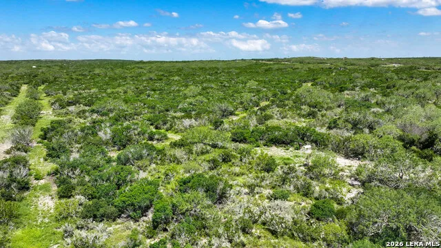 001 CR 624 Tilden, TX 78072