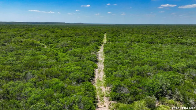 001 CR 624 Tilden, TX 78072