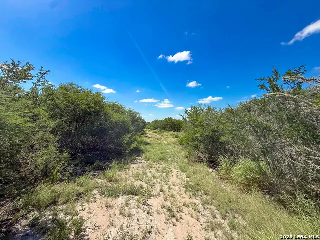 001 CR 624 Tilden, TX 78072