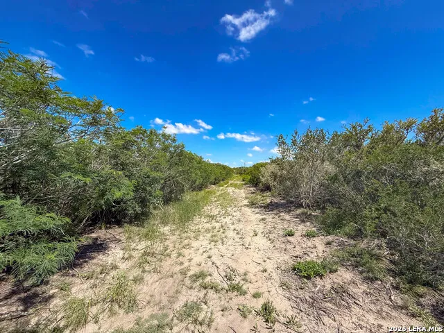 001 CR 624 Tilden, TX 78072