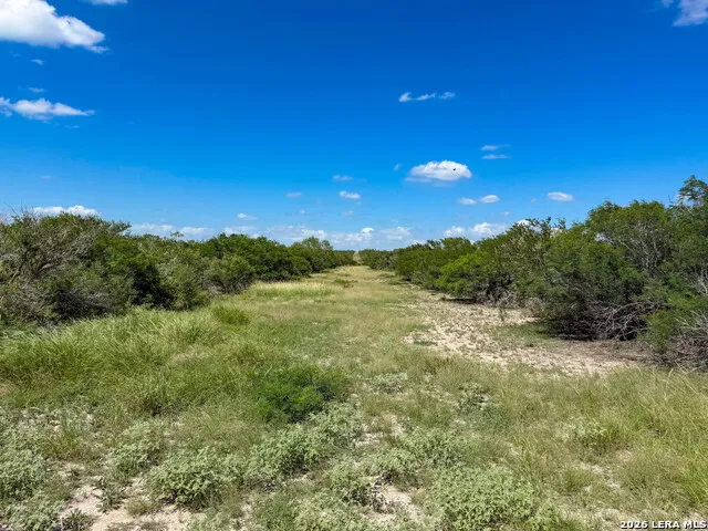001 CR 624 Tilden, TX 78072
