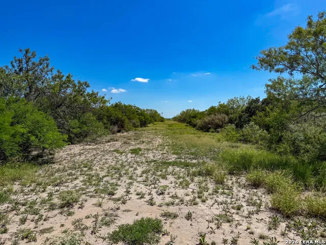 001 CR 624 Tilden, TX 78072