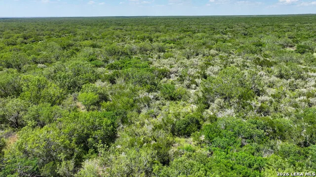 001 CR 624 Tilden, TX 78072