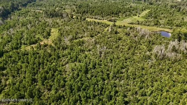 00 Stump Road Gloster, MS 39638