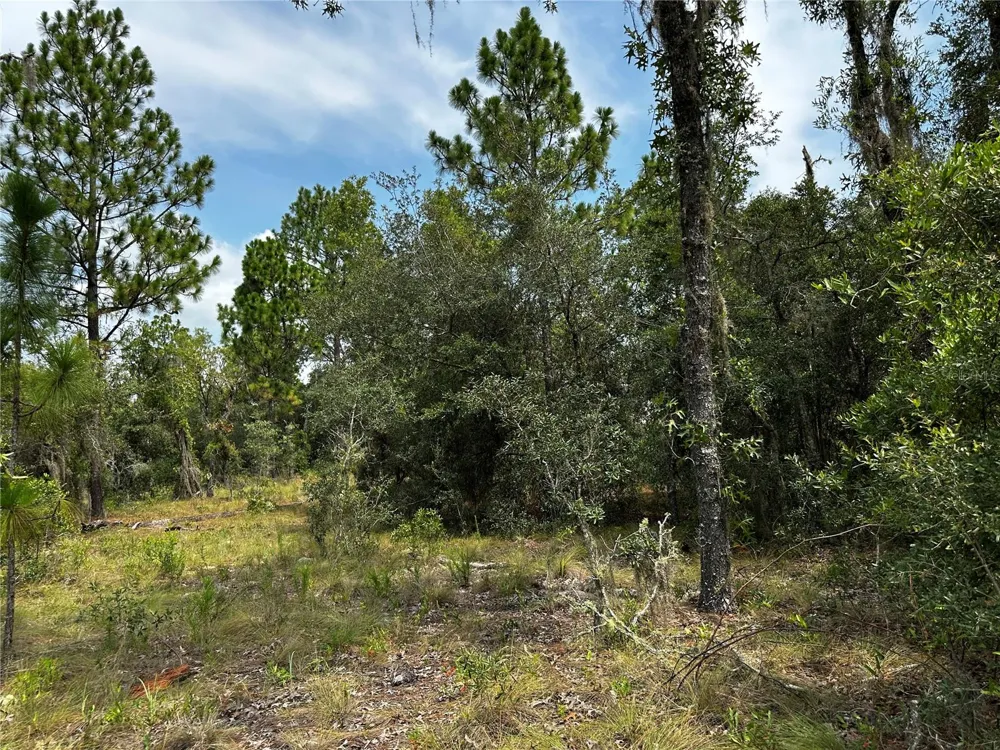 150 SE 144TH AVENUE Williston, FL 32696
