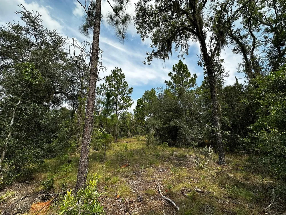 150 SE 144TH AVENUE Williston, FL 32696