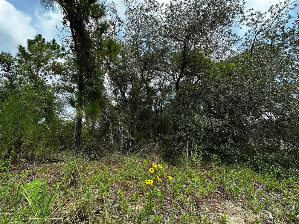 150 SE 144TH AVENUE Williston, FL 32696