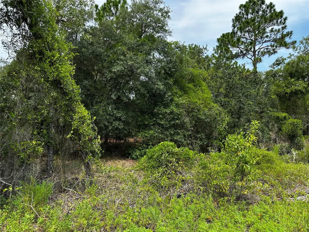 150 SE 144TH AVENUE Williston, FL 32696