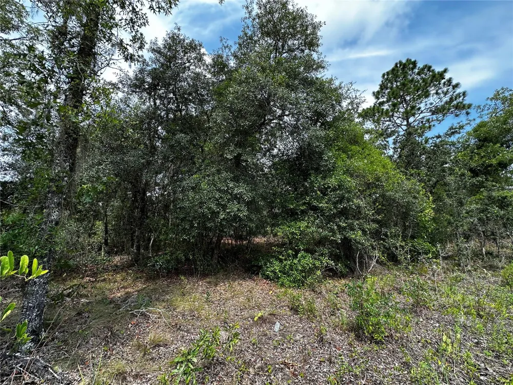 150 SE 144TH AVENUE Williston, FL 32696