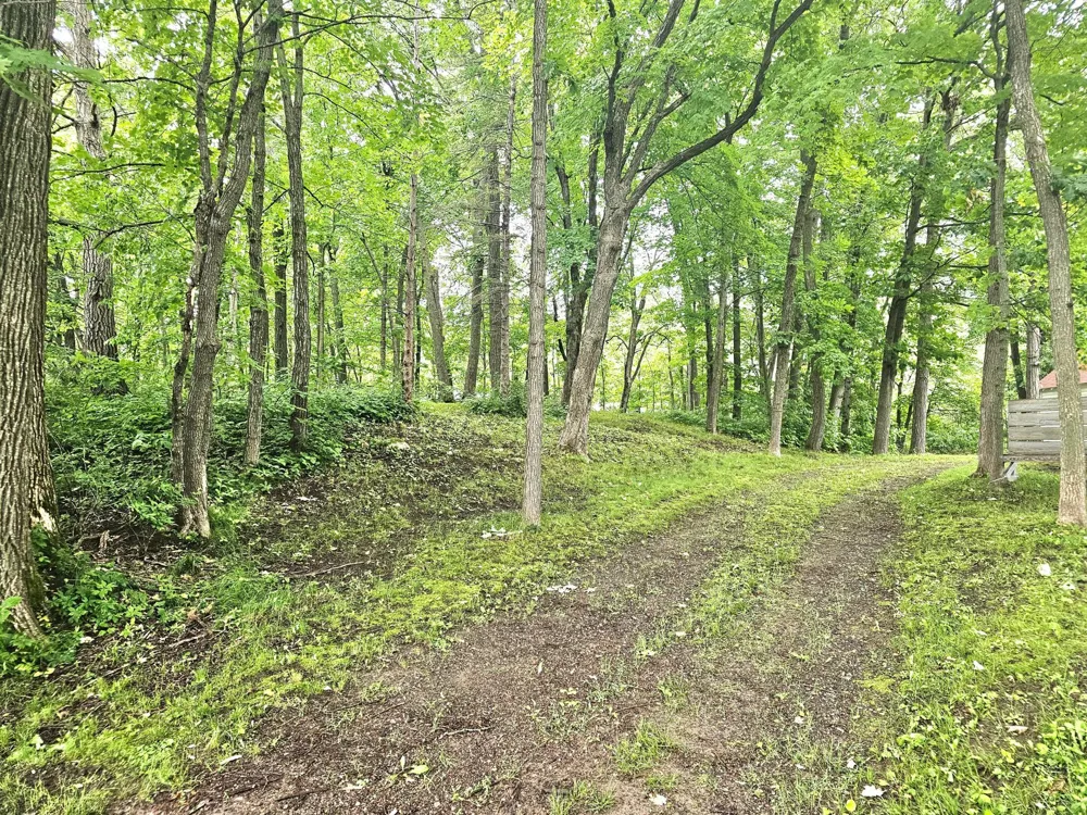 TBD East Grace Street Isle, MN 56342