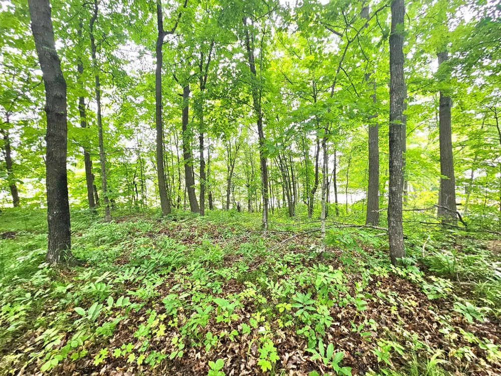 TBD East Grace Street Isle, MN 56342