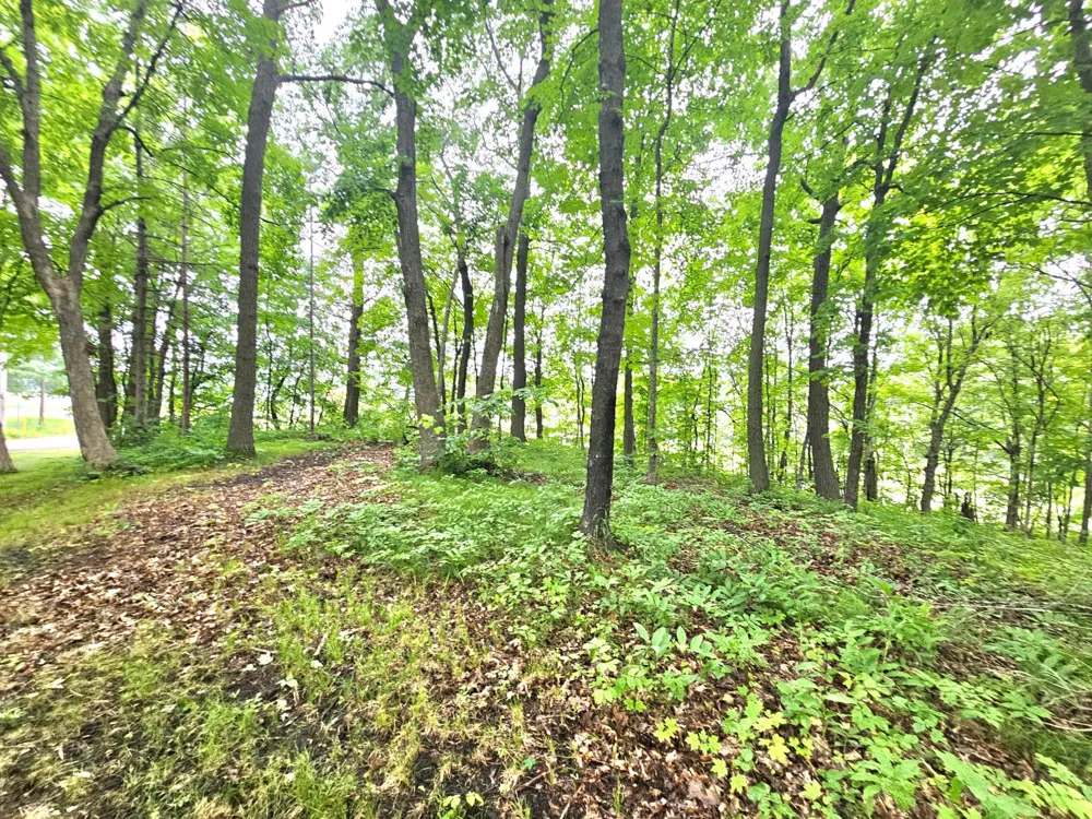 TBD East Grace Street Isle, MN 56342