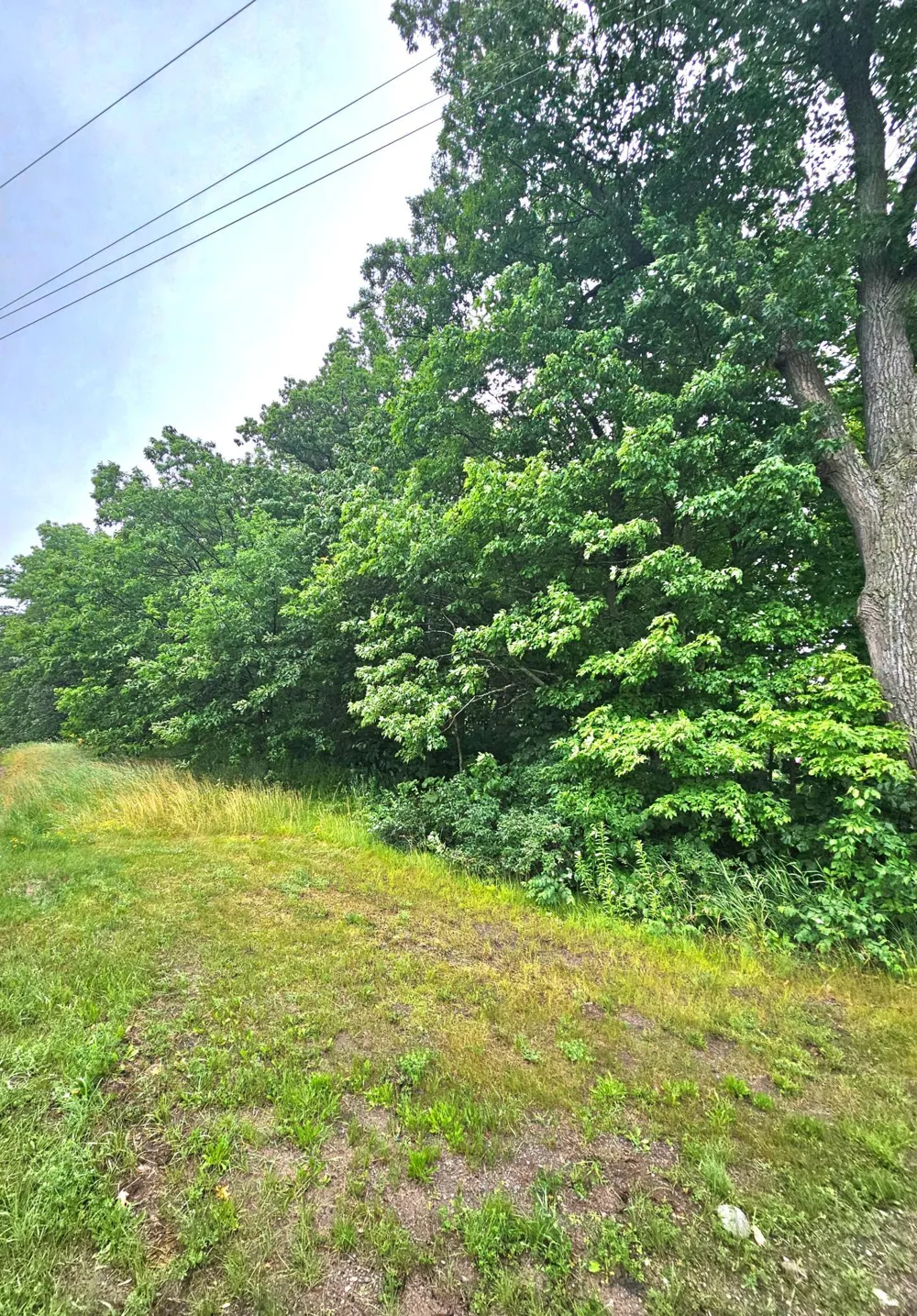 TBD East Grace Street Isle, MN 56342