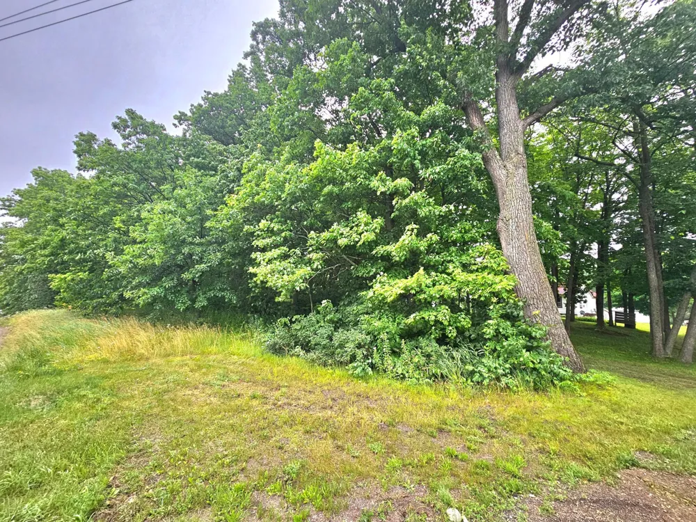 TBD East Grace Street Isle, MN 56342