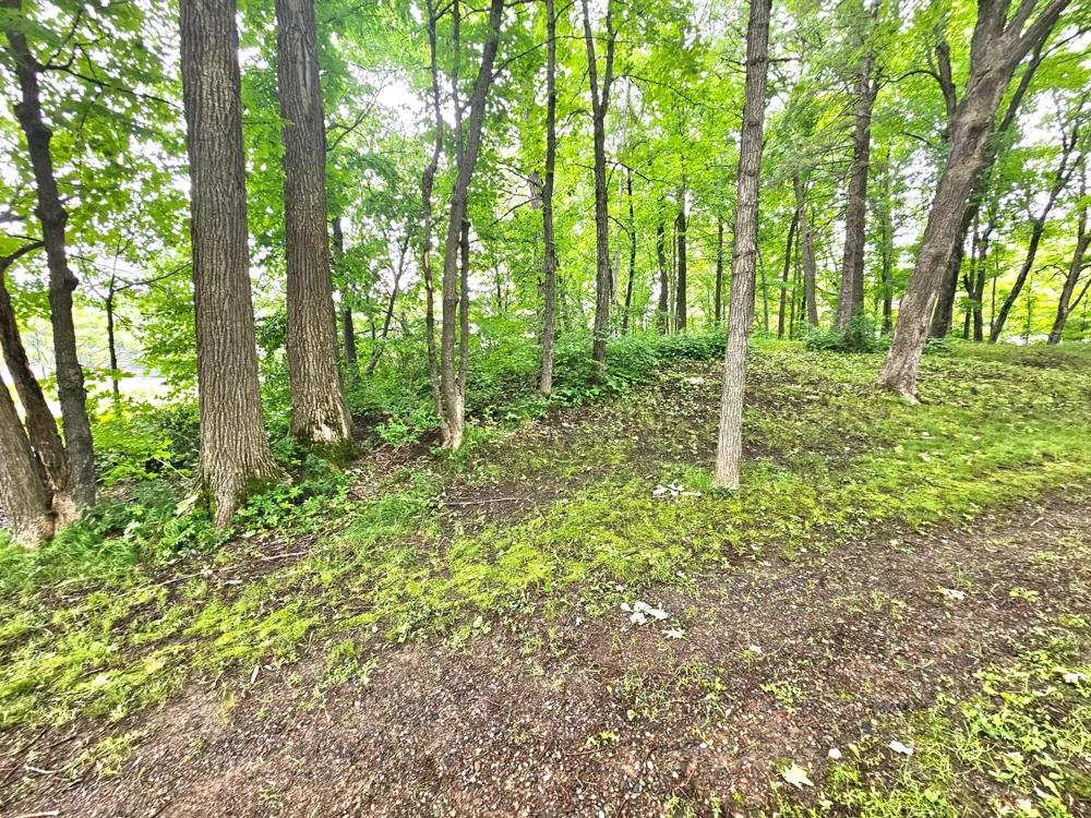 TBD East Grace Street Isle, MN 56342