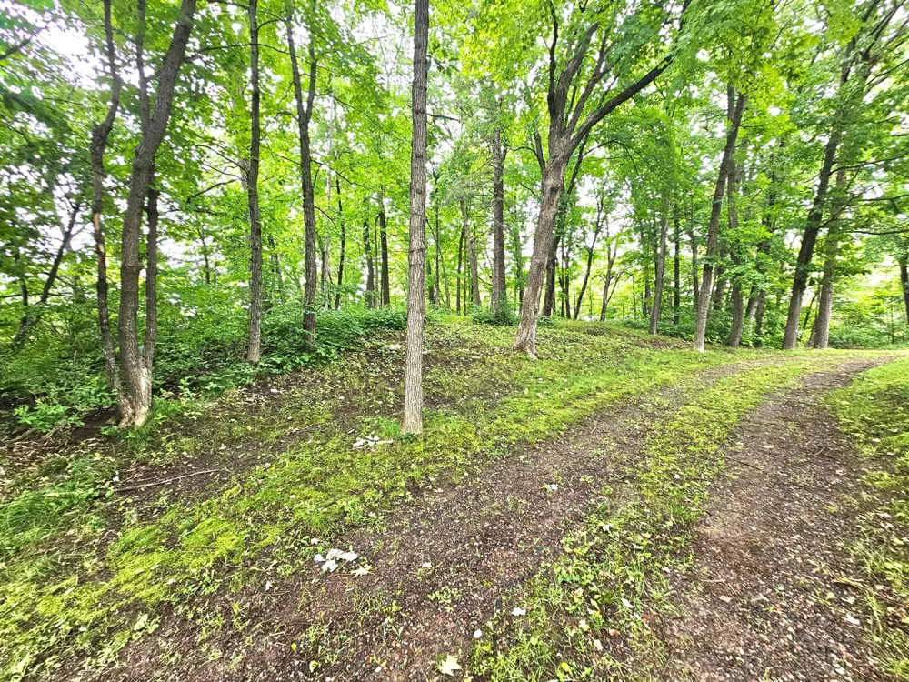 TBD East Grace Street Isle, MN 56342