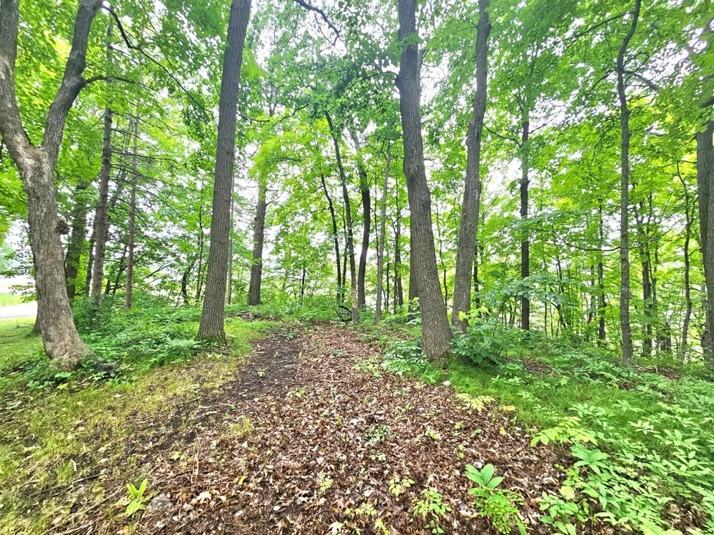 TBD East Grace Street Isle, MN 56342