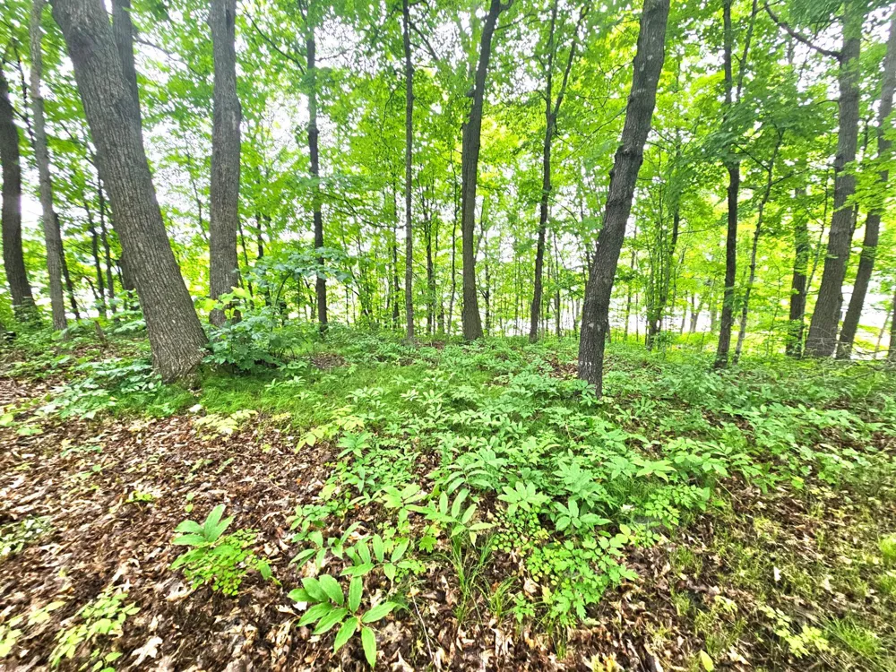 TBD East Grace Street Isle, MN 56342