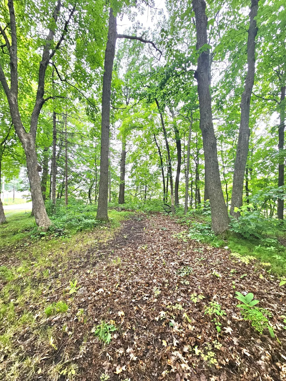 TBD East Grace Street Isle, MN 56342
